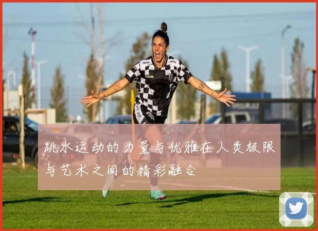 跳水运动的力量与优雅在人类极限与艺术之间的精彩融合