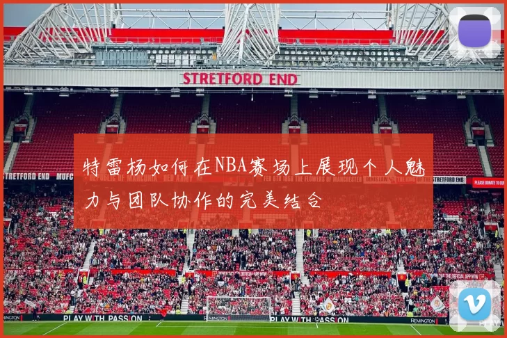特雷杨如何在NBA赛场上展现个人魅力与团队协作的完美结合