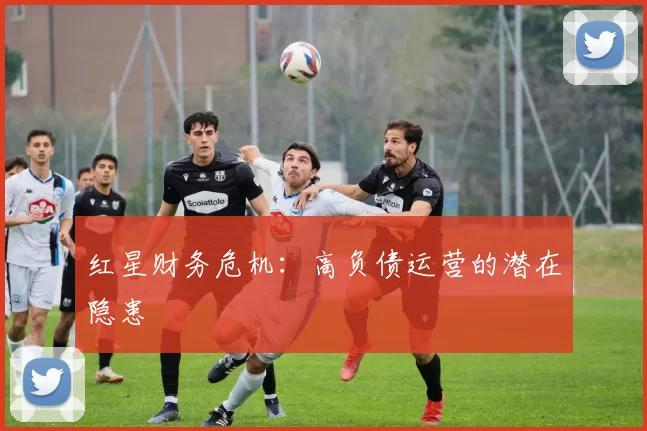 红星财务危机：高负债运营的潜在隐患