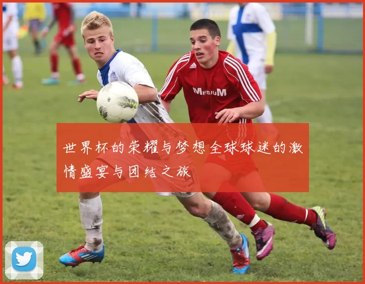 世界杯的荣耀与梦想全球球迷的激情盛宴与团结之旅