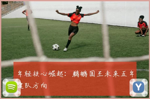 年轻核心崛起：鹈鹕国王未来五年建队方向
