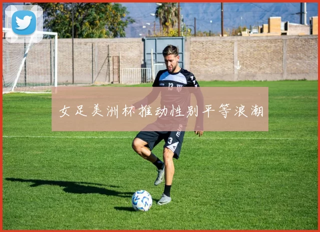 女足美洲杯推动性别平等浪潮