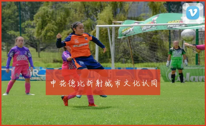 申花德比折射城市文化认同