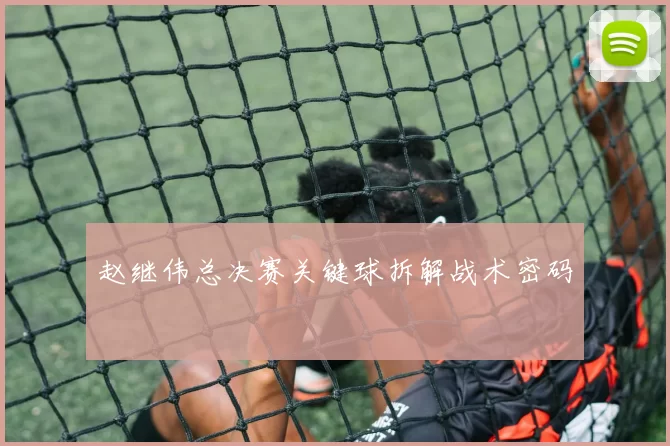 赵继伟总决赛关键球拆解战术密码
