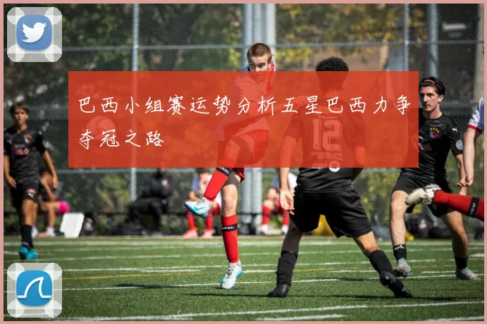 巴西小组赛运势分析五星巴西力争夺冠之路