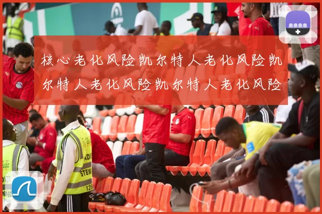 核心老化风险凯尔特人老化风险凯尔特人老化风险凯尔特人老化风险与应对策略