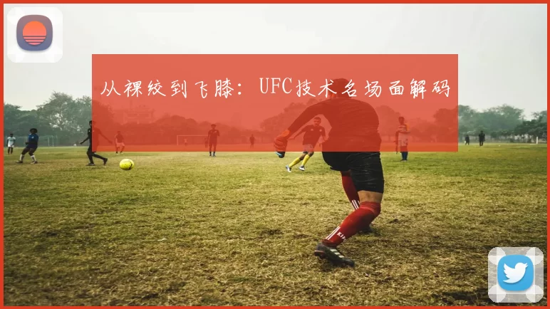 从裸绞到飞膝：UFC技术名场面解码