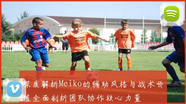 深度解析Meiko的辅助风格与战术价值全面剖析团队协作核心力量